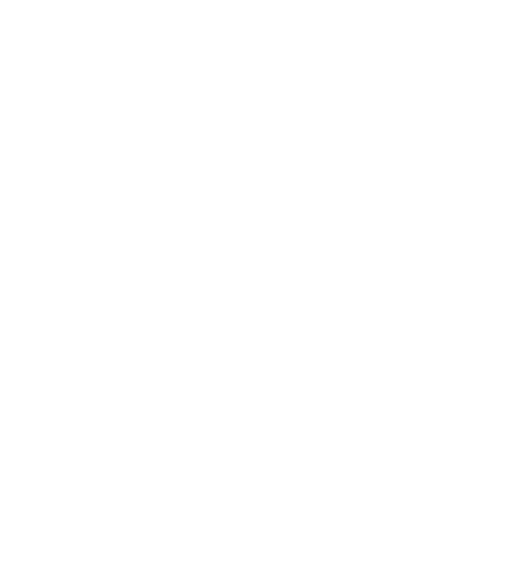 logo VitaVeta white with slogan
